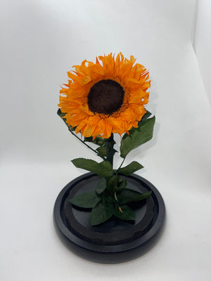 Forever Preserved Sunflower - Rose Bears Australia