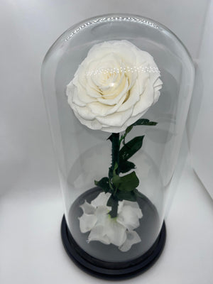 Large White Forever Preserved Rose - Rose Bears Australia