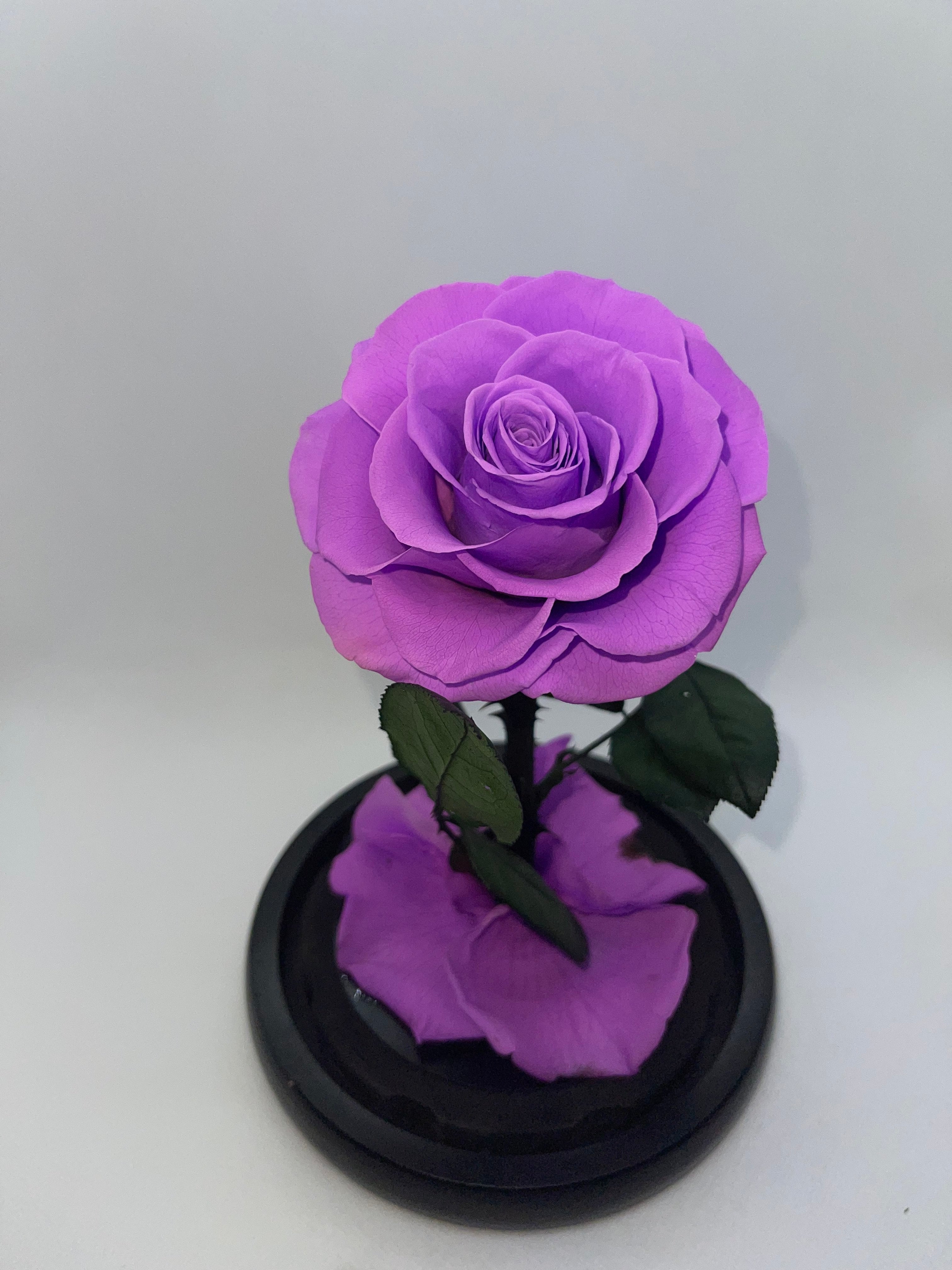 Purple Forever Preserved Rose - Rose Bears Australia