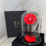 Red Forever Preserved Rose - Rose Bears Australia