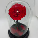 Red Forever Preserved Rose - Rose Bears Australia