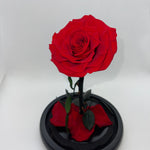 Red Forever Preserved Rose - Rose Bears Australia