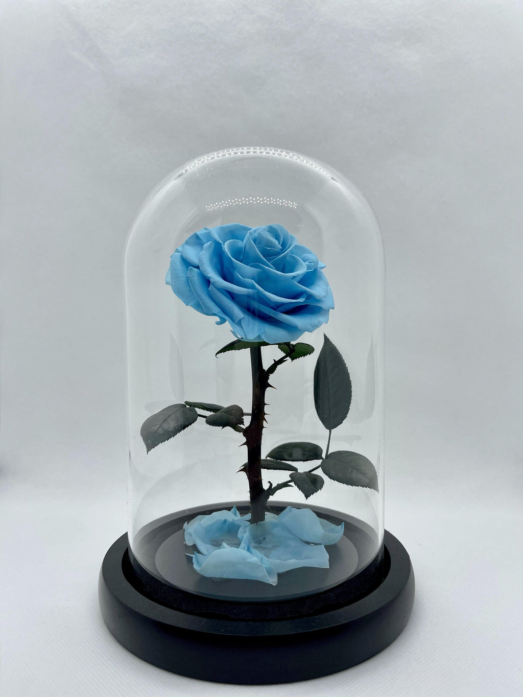 Blue Forever Preserved Rose - Rose Bears Australia