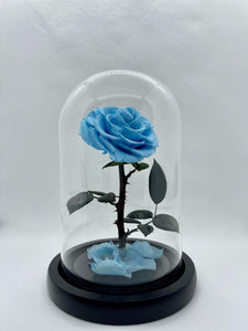 Blue Forever Preserved Rose - Rose Bears Australia