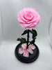 Large Pink Forever Preserved Rose - Rose Bears Australia