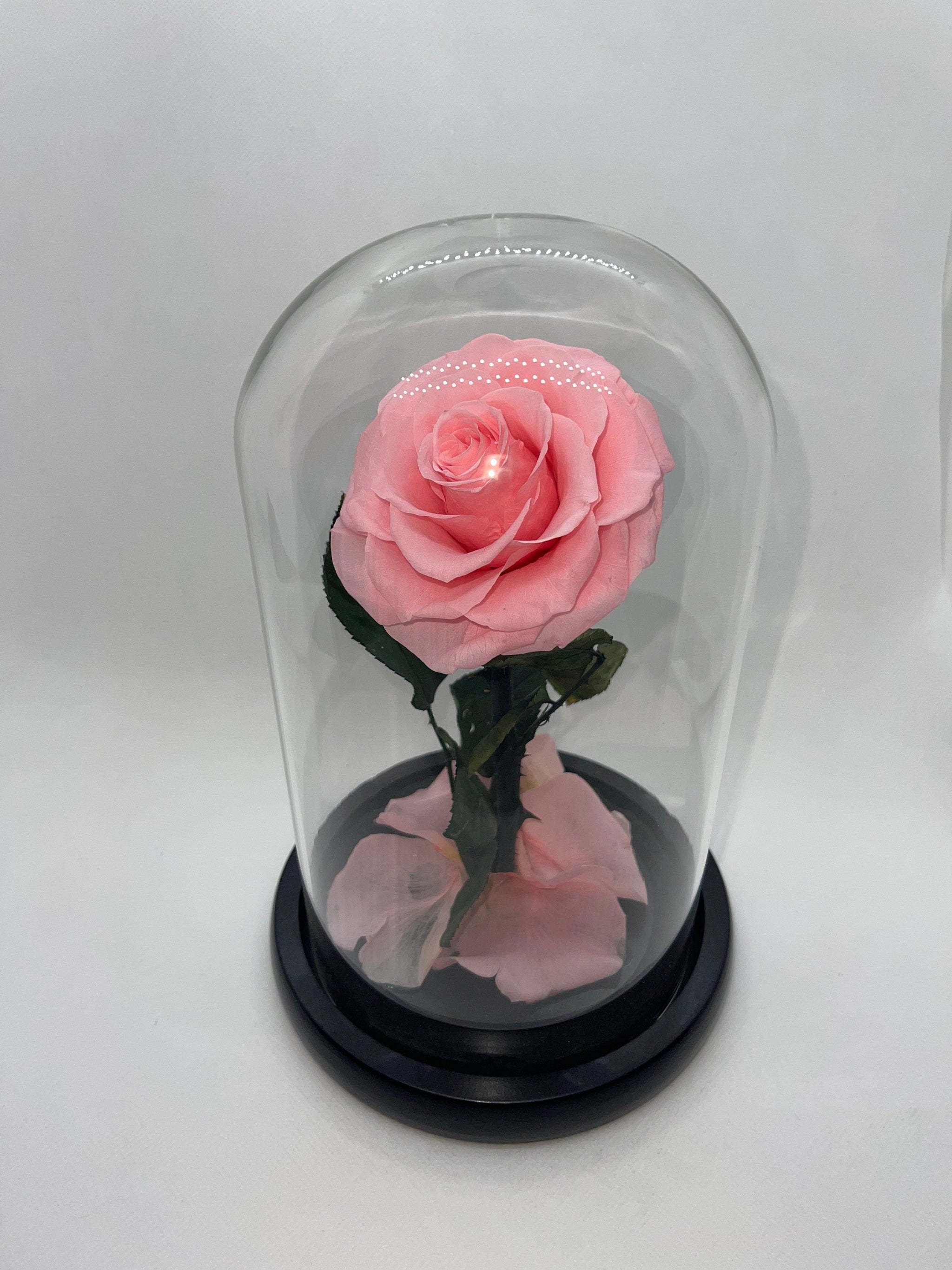Preserved Blue Roses In Glass Dome - Eternal Flowers Gift For Women, Birthday, Anniversary, With LED Lights - View #5