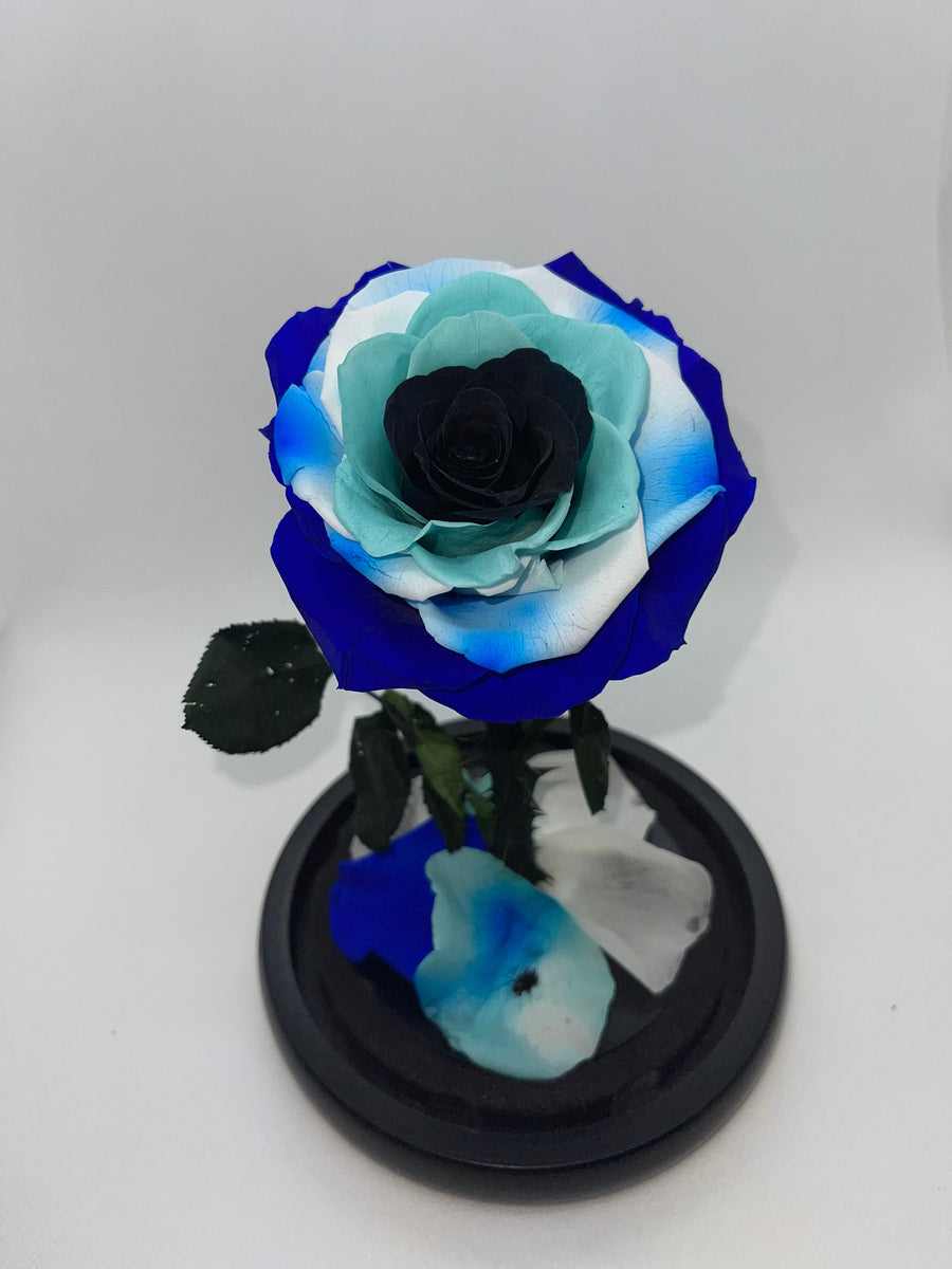 Evil Eye Forever Preserved Rose | Rose Bears Australia