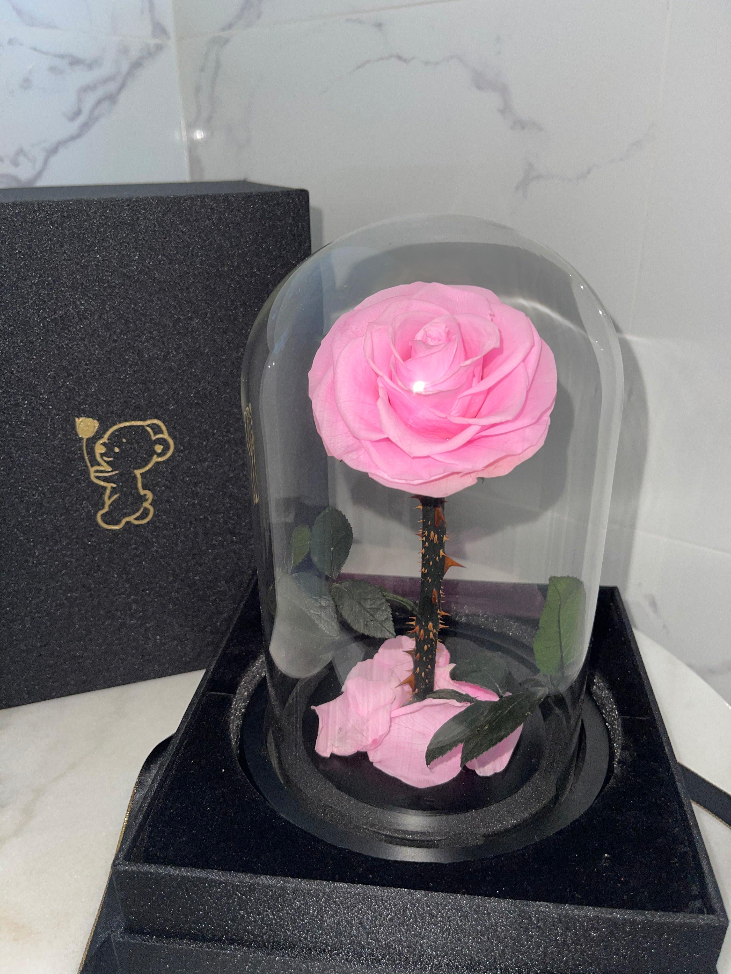 Pink Forever Preserved Rose - Rose Bears Australia