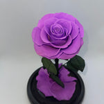 Purple Forever Preserved Rose - Rose Bears Australia