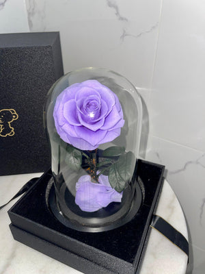 Purple Forever Preserved Rose - Rose Bears Australia