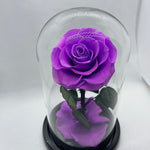 Purple Forever Preserved Rose - Rose Bears Australia