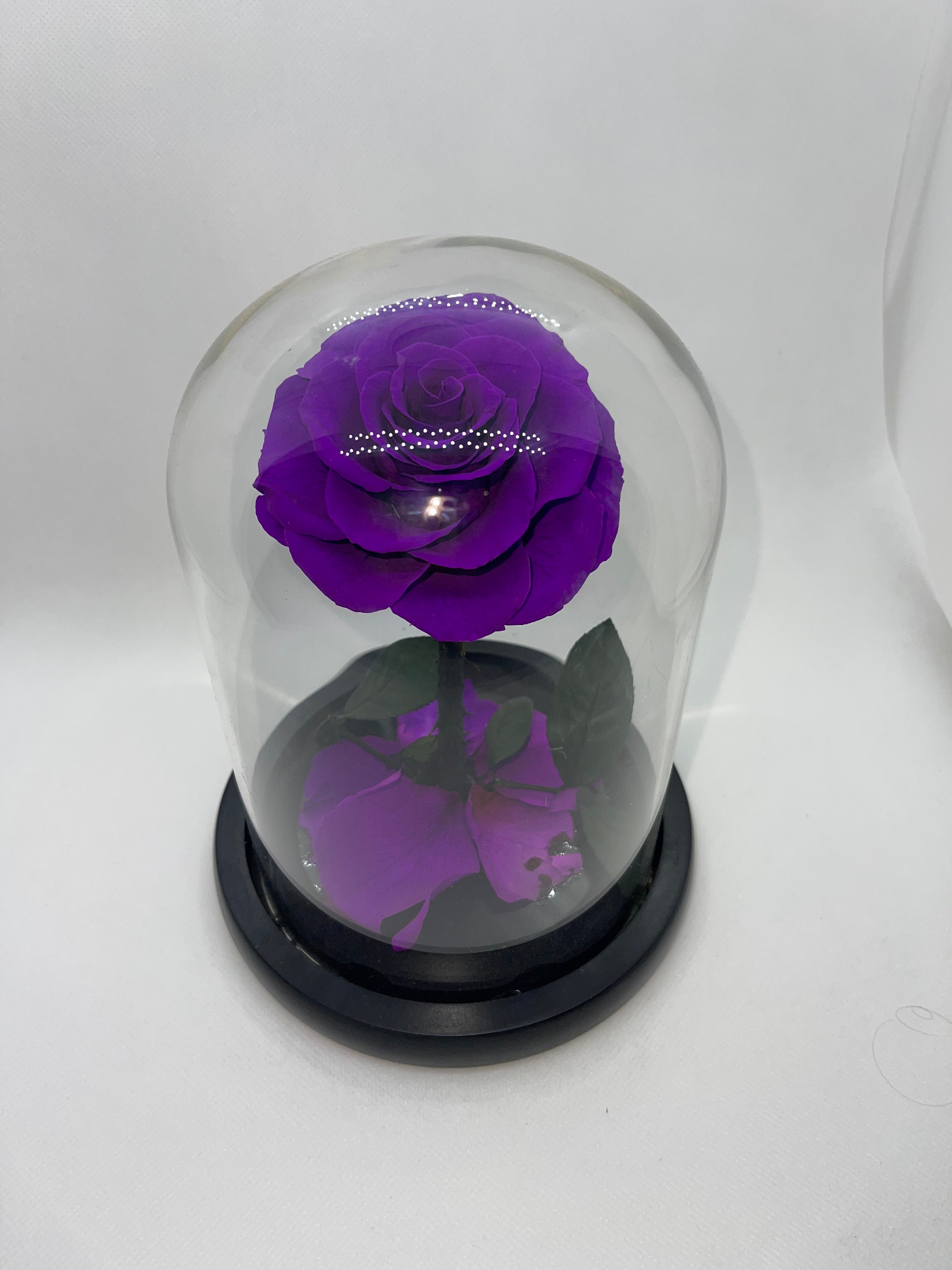 one year rose, everlasting rose, preserved rose, rose in glass dome, roses, everlasting roses Australia, mother’s day gift, birthday gift ideas, anniversary gift ideas, Australia gift ideas, gift ideas for her, tiktok, rose bears Australia, valentine’s day gift, valentine’s day, baby shower gift, 365 days rose, beauty and the beast rose