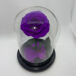 one year rose, everlasting rose, preserved rose, rose in glass dome, roses, everlasting roses Australia, mother’s day gift, birthday gift ideas, anniversary gift ideas, Australia gift ideas, gift ideas for her, tiktok, rose bears Australia, valentine’s day gift, valentine’s day, baby shower gift, 365 days rose, beauty and the beast rose