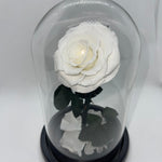 one year rose, everlasting rose, preserved rose, rose in glass dome, roses, everlasting roses Australia, mother’s day gift, birthday gift ideas, anniversary gift ideas, Australia gift ideas, gift ideas for her, tiktok, rose bears Australia, valentine’s day gift, valentine’s day, baby shower gift, 365 days rose, beauty and the beast rose